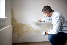 Best Biohazard Mold Removal  in Highland, UT